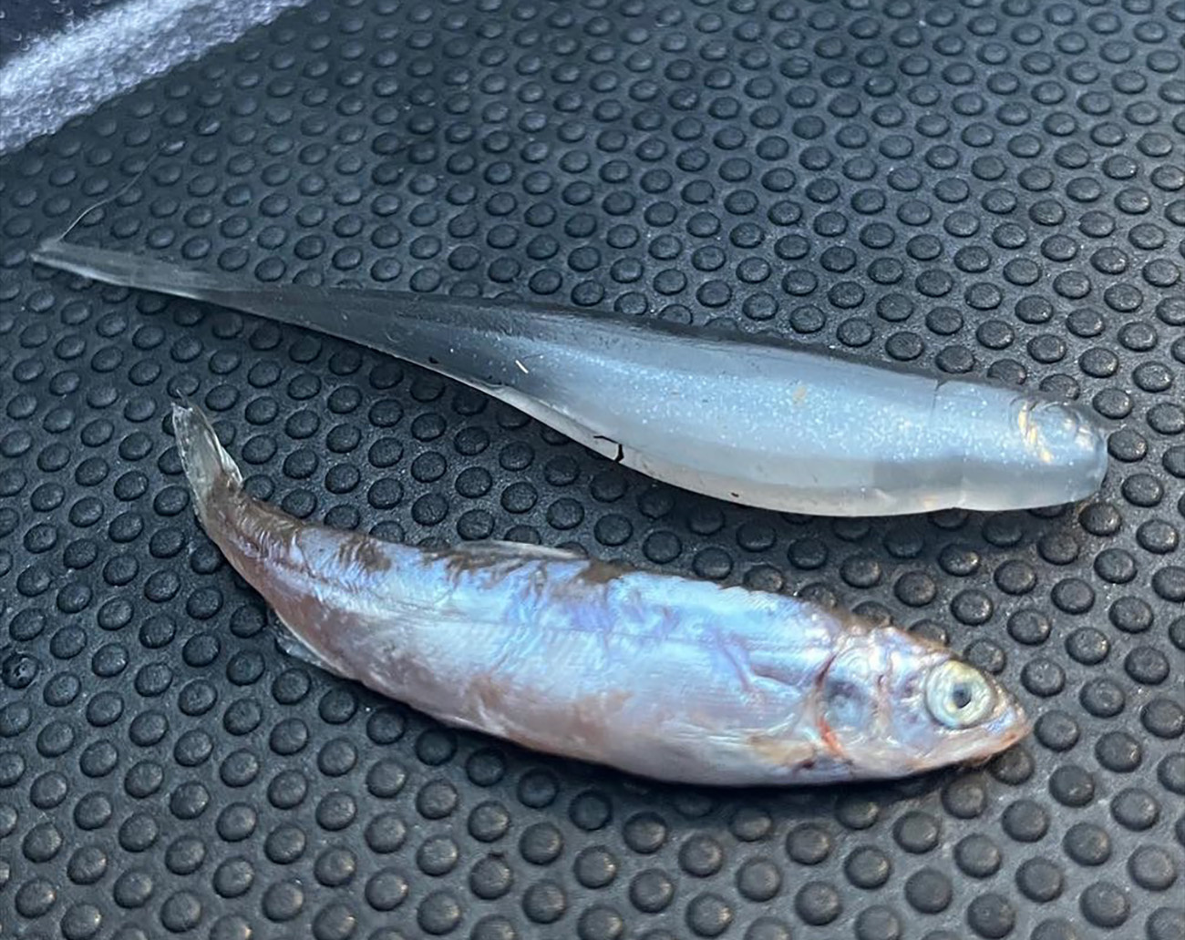 Z-Man StreakZ 9,3 cm